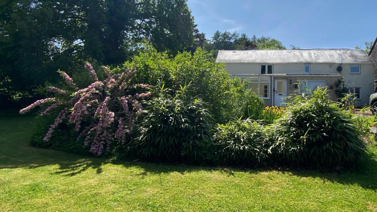 Silhouette Cottage Coleford  Luaran gambar
